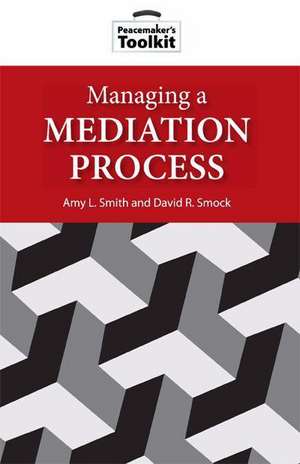 Managing a Mediation Process de David R. Smock