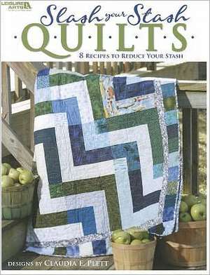 Slash Your Stash Quilts de Claudia E. Plett