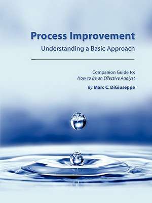 Process Improvement: Understanding a Basic Approach - Companion Guidebook to How to Be an Effective Analyst de Marc C. Digiuseppe