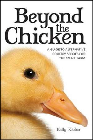 Beyond the Chicken de Klober Kelly