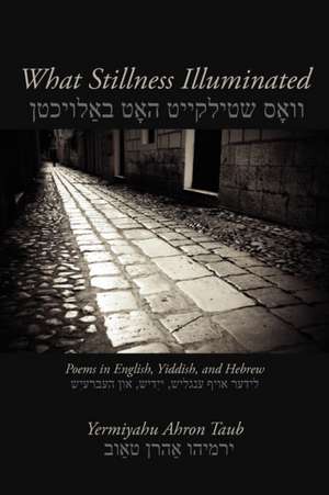 What Stillness Illuminated: Poems in English, Yiddish, and Hebrew de Yermiyahu Ahron Taub