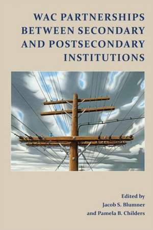 Wac Partnerships Between Secondary and Postsecondary Institutions: Stories from the Incomplete Archive de Jacob S. Blumner