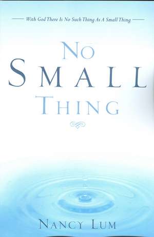 No Small Thing de Nancy Lum