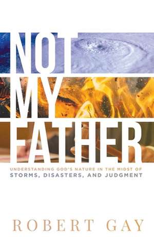 Not My Father: Understanding God's Nature in the Midsto of Storms, Disasters, and Judgment de Robert Gay