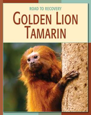 Gold Lion Tamarin de Barbara A. Somervill