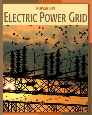 Electric Power Grid de Patricia Freeland Hynes