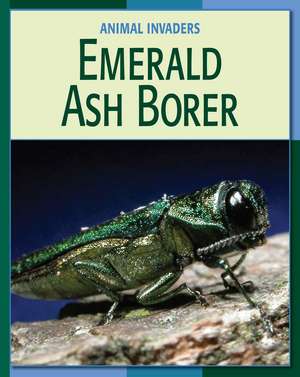 Emerald Ash Borer de Susan H. Gray