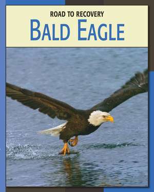 Bald Eagle de Susan Heinrichs Gray