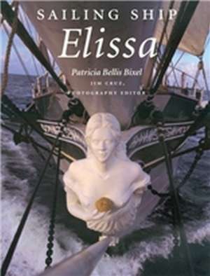 Sailing Ship Elissa de Patricia Bellis Bixel