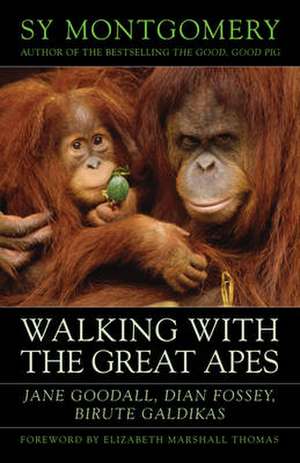 Walking with the Great Apes: Jane Goodall, Dian Fossey, Birute Galdikas de Sy Montgomery