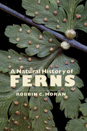 A Natural History of Ferns: A Natural History of Ferns de Robbin C. Moran