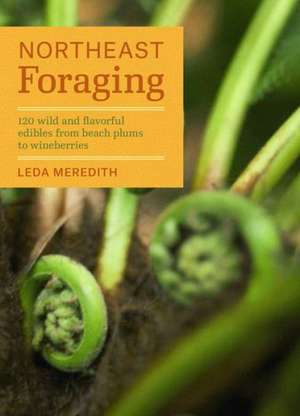 Northeast Foraging: 120 Wild and Flavorful Edibles from Beach Plums to Wineberries de Leda Meredith