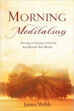 Morning Meditation de James Webb