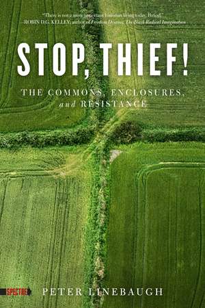 Stop, Thief!: The Commons, Enclosures, And Resistance de Peter Linebaugh