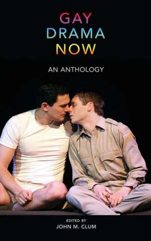 Gay Drama Now de John M. Clum