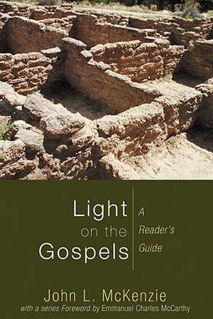 Light on the Gospels de John L. McKenzie