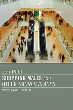 Shopping Malls and Other Sacred Spaces: Putting God in Place de Jon Pahl