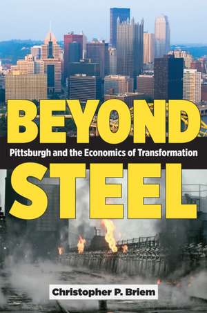 Beyond Steel de Christopher P. Briem