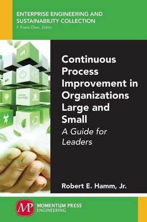 Continuous Process Improvement in Organizations Large and Small: A Guide for Leaders de Jr. Robert E. Hamm