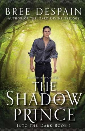 The Shadow Prince de Bree Despain