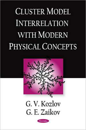 Cluster Model Interrelation with Modern Physical Concepts de G V Kozlov