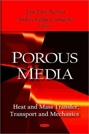 Porous Media de Jose Luis Acosta