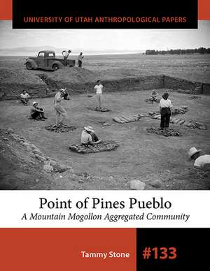 Point of Pines Pueblo: A Mountain Mogollon Aggregated Community de Tammy Stone