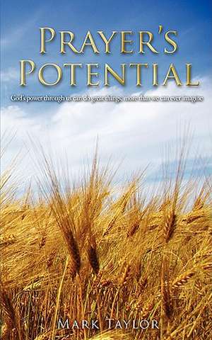 Prayer's Potential de Mark Taylor