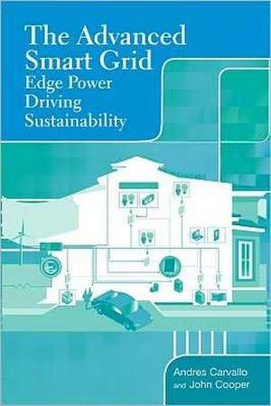 The Advanced Smart Grid de Andres Carvallo