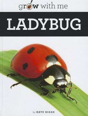 Ladybug de Kate Riggs