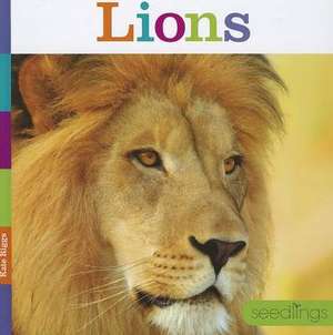 Lions de Kate Riggs