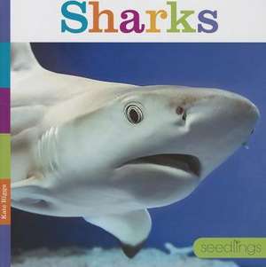 Sharks de Kate Riggs