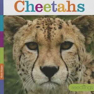 Cheetahs de Kate Riggs