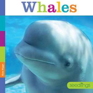 Seedlings Whales de Kate Riggs