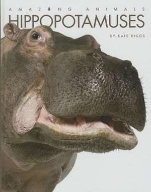 Hippopotamuses: Strategies from Great and Powerful to Flying Monkeys - Unleash Some Magic in Your Management! de Kate Riggs