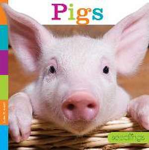 Pigs de Quinn M. Arnold