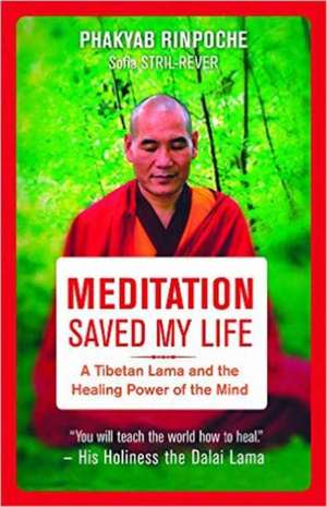 Meditation Saved My Life: A Tibetan Lama and the Healing Power of the Mind de Phakyab Rinpoche