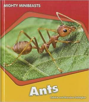 Ants de Debbie Gallagher