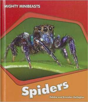 Spiders de Debbie Gallagher