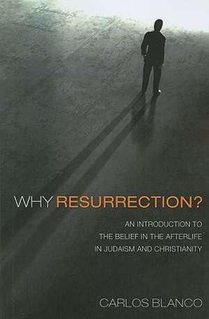 Why Resurrection?: An Introduction to the Belief in the Afterlife in Judaism and Christianity de Carlos Blanco