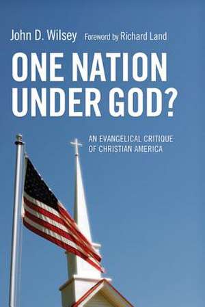 One Nation Under God?: An Evangelical Critique of Christian America de John D. Wilsey