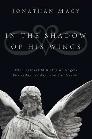 In the Shadow of His Wings: Yesterday, Today, and for Heaven de Jonathan Macy