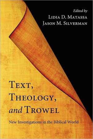 Text, Theology, and Trowel: New Investigations in the Biblical World de Lidia D. Matassa