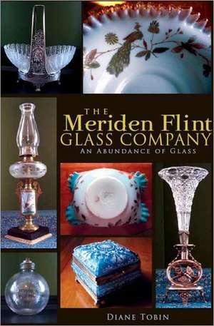 The Meriden Flint Glass Company: An Abundance of Glass de Diane Tobin