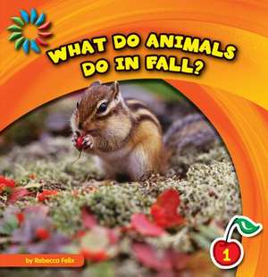 What Do Animals Do in Fall? de Rebecca Felix