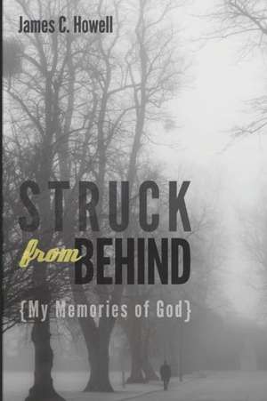 Struck from Behind: My Memories of God de James C. Howell