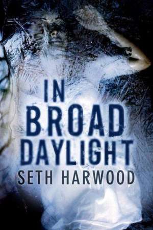 In Broad Daylight de Seth Harwood