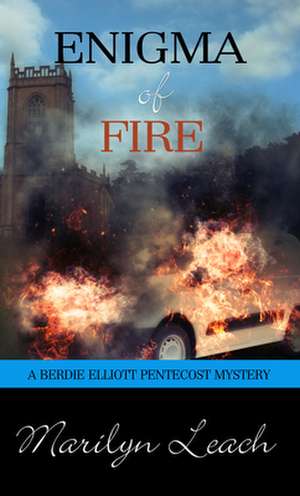 Enigma of Fire de Marilyn Leach