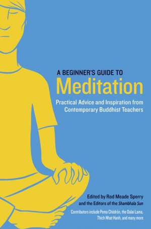 A Beginner's Guide to Meditation: Practical Advice and Inspiration from Contemporary Buddhist Teachers de Rod Meade Sperry