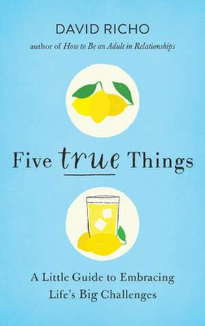 Five True Things: A Little Guide to Embracing Life's Big Challenges de David Richo